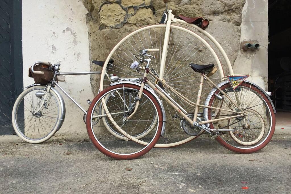 Tour De France Historique Et Chateaux De Loire 奥尔良 外观 照片